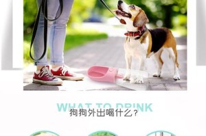 如何正确喂养狗狗的饮水方式（以什么方法喂狗狗喝水更健康？）