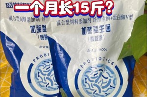 解决狗狗不爱吃饭的问题（让你的狗狗拥有健康的食欲）