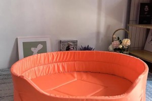 为什么有些狗不爱咬家具？（探究狗狗不咬家具的原因及解决方法）