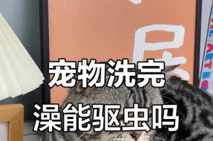 洗澡前要等多久以驱虫？（驱虫药物使用后的最佳洗澡时间是多久？）