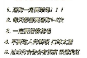 轻松养狗指南（了解哪些狗狗容易养活并且适合你的生活方式）