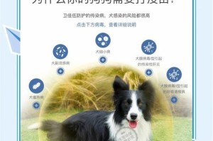 小狗细小后打疫苗的重要性（打疫苗是保护小狗健康的必要举措）