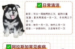 新手指南（了解关键饲养方法，打造健康快乐的宠物生活）