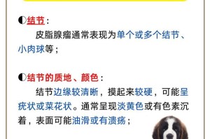 狗妈妈生小狗的注意事项（了解狗妈妈生小狗的必要知识）
