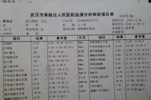 以爱茂尔治消炎呕吐（一款有效的消炎呕吐药物）