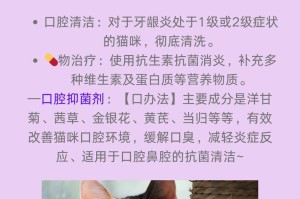 猫发烧了吃什么消炎药？（了解适合猫咪的消炎药物及使用注意事项）