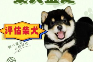 柴犬（了解柴犬的性格和特点）