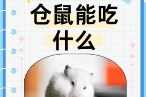 仓鼠怀孕期间的适宜粮食选择（维持健康的关键是合理搭配）