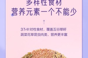 仓鼠的高蛋白食物（提供丰富营养的食物选择）