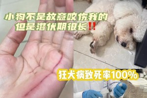 狗发狂犬病的潜伏期有多久？（探究狗发狂犬病的潜伏期及相关预防方法）