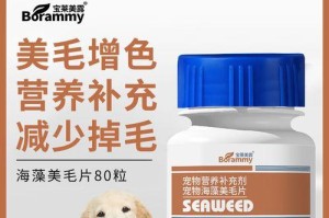 狗狗肠胃问题的药物治疗及注意事项（维护宠物健康，避免肠胃不适困扰）