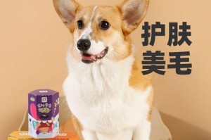 如何通过饮食改善狗狗的毛发质量（以拘狗吃什么可以美毛）