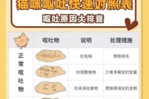 探秘猫粪便的颜色之谜（猫粪便颜色的种类及其健康指标）