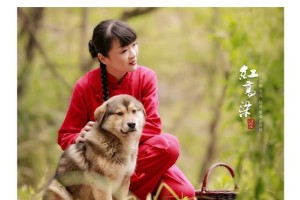 小狗流红色眼泪的原因及治疗方法（解决你的宠物眼泪问题，关注它的健康与幸福）