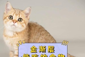 猫咪长癣吃什么食物好（探究猫咪长癣的原因和合适的饮食选择）