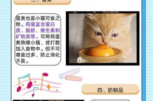 如何正确喂养小猫（小猫的饮食需求与喂养技巧）
