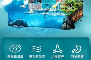 比熊狗狗的最佳水源选择（为你的比熊狗狗提供健康的饮水选择）