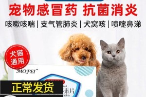 狗狗用药须知（保护狗狗健康的药物禁忌与替代选择）