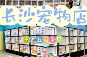 如何辨别正规的宠物店（关注这一关键点，选择可信赖的宠物店）