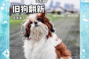 狗染色后需要多久才能洗掉？（探讨狗染色持续时间及正确洗澡时间）