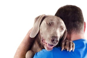 狗狗为何突然变得特别粘人？（揭秘狗狗粘人行为背后的原因和解决方法）
