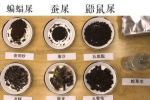 狗屎的臭味是什么？（探究狗屎的臭味成分及原因）