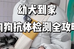 狗狗打好疫苗后多久能出门？（探究狗狗疫苗的免疫时间和出门时间安排）