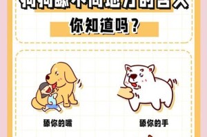 狗狗为什么喜欢舔路上的地方（了解狗狗舔路面的习性及原因）