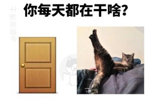 猫的种种用途（探寻猫在人类生活中的角色）