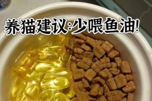 猫鱼油哪个牌子好？（一起了解猫鱼油的品牌推荐和选择）