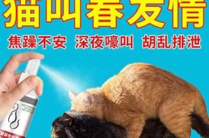 母猫生后需要注意的药物使用（保护母猫健康，确保幼崽生长）