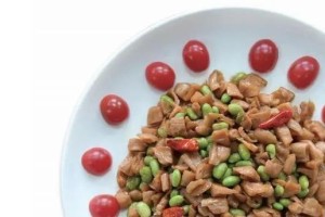 详解赤颊黄鼠的饲养方法（打造一个舒适宜居的家园）