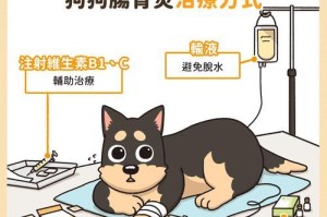 小泰迪肠炎（了解小泰迪肠炎的症状，采取正确的预防和治疗措施）
