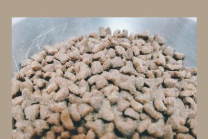 猫粮为什么有点咸？（探究猫粮中咸味的成因及对猫咪的影响）