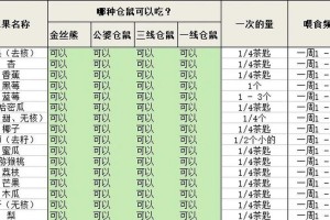仓鼠产后营养需求及饮食安排