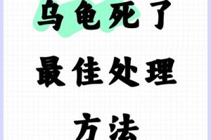 养乌龟不难，只需这6点（养好乌龟的关键，你做到了吗？）