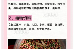 中的乌龟的食物选择与健康（了解乌龟的食物喜好，保证营养平衡）