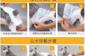 泰迪犬月经间隔期是多久？（探究泰迪犬的生理特点和月经周期。）