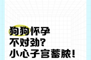 狗生了子宫流脓的问题及防治方法（探讨如何预防和治疗狗生产后的子宫炎症问题）