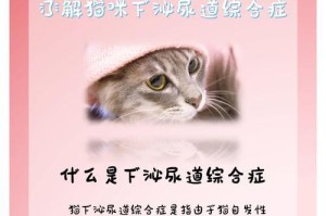 如何让猫咪不拆线？（15种有效方法教你防止猫咪拆线）