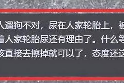 狗为什么喜欢尿轮胎？（探究狗喜欢尿轮胎的原因和解决办法）