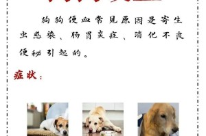饭后多久狗狗才会大便一次？（探究狗狗消化系统运作的奥秘）