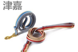 探索阿拉斯加的主要链子（阿拉斯加中最重要的链子以及它们的作用）