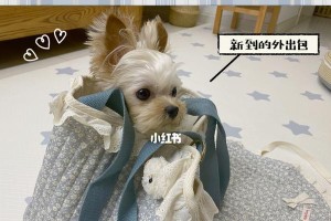 小狗为什么喜欢跑窝（探寻小狗跑窝的原因和习性）