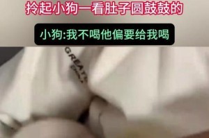 狗狗肚子鼓鼓的原因及正确喂食方法（狗狗肚子鼓鼓，是什么原因？如何正确喂食？）