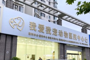 云南昆明宠物医院综合介绍（了解云南昆明宠物医院的专业服务和先进设备）