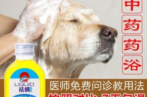 狗狗长螨虫需要接种什么针？（了解如何保护狗狗免受螨虫感染的方法）