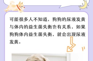 为什么狗狗一天不喔尿？（探究狗狗尿液产生的原因及其健康意义）