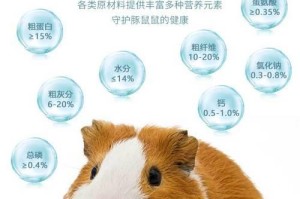 荷兰猪的饮食需求及适宜食物选择（满足荷兰猪营养需求的最佳食物搭配与注意事项）