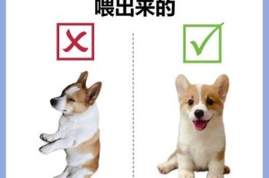 狗的肠道寄生虫（了解狗的肠道寄生虫，让你的爱宠远离疾病）